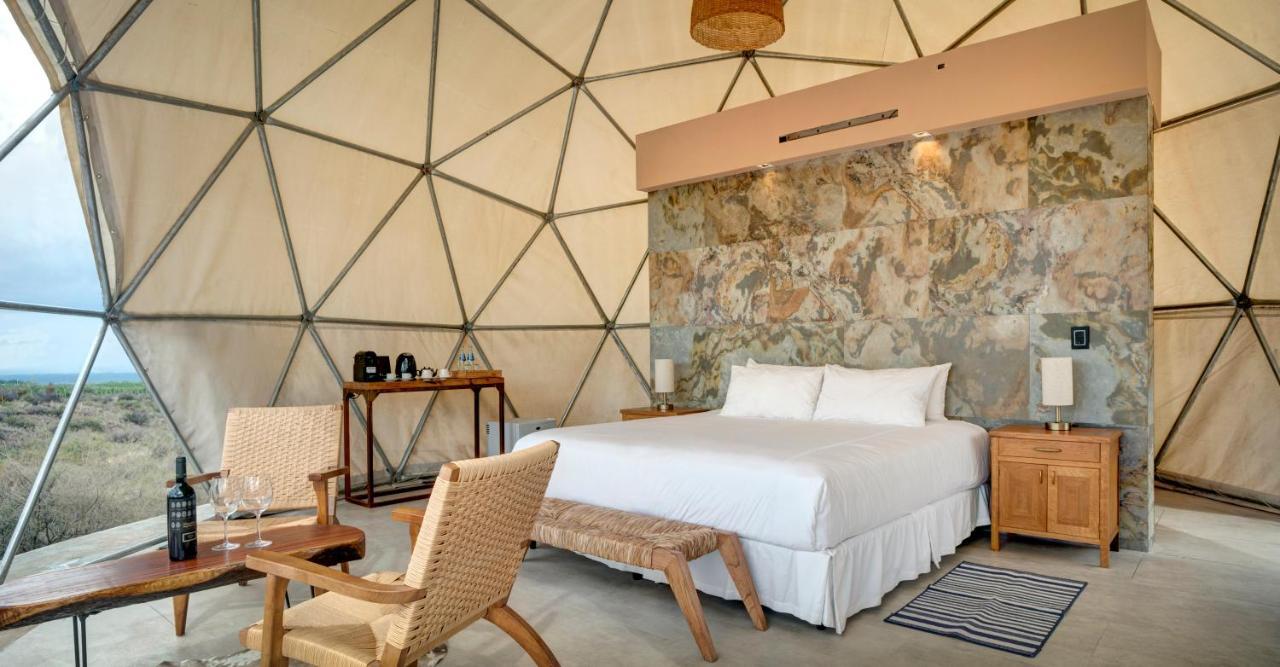 Alpasion Lodge Tunuyan Luaran gambar